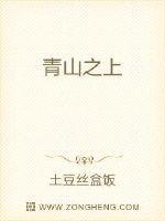 青山之恋免费