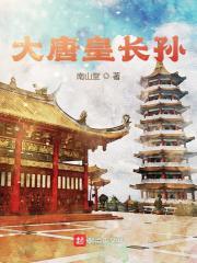 大唐皇长孙动画全集