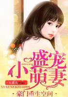 豪门盛宠小甜妻