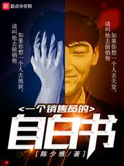 一个销售员的自白书 作者陈少维