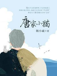 唐家小猫全文阅读