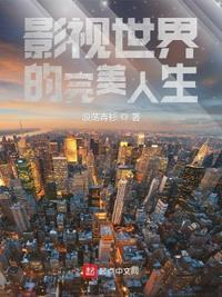 影视世界中的完美人生