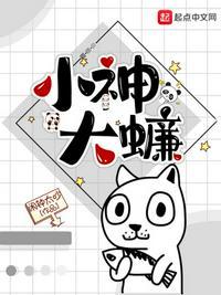 大小神会小怜全文阅读