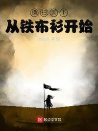 纵横天下从铁布衫开始评论