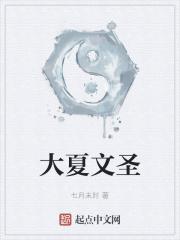大夏文圣怎么样