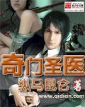 我要看奇门医圣的4097集