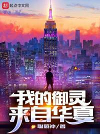 我的御灵来自华夏境界等级
