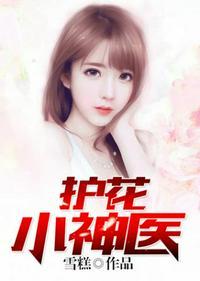 护花小神医林平最后和谁结了婚