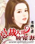 亿万总裁独宠倾城妻
