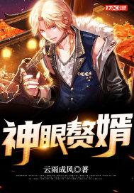 神眼赘婿作者云雨成风