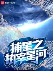 捕星司之银城