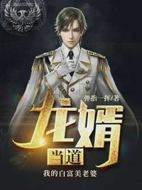 龙婿当道叶枫