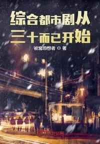 都市从三十而已开始飞卢