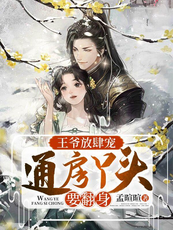 爷得心尖宠 二等丫环要上位