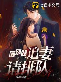 江先生追妻指南1-100集