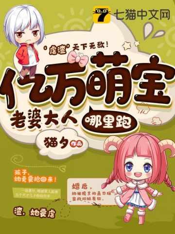 一胎七宝老婆大人哪里跑有声书