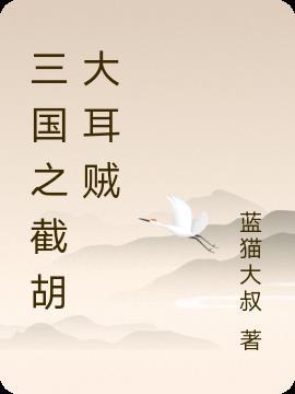 三国截胡大耳贼顺其自然不说