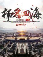 扬名四海电视剧