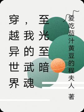 我的武魂至光至暗漫画全集