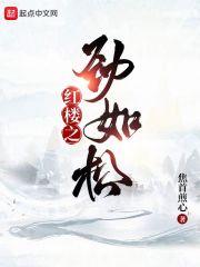 红楼之锦玉作者凤子君