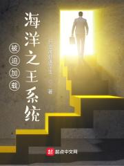 被迫加载海洋之王系统的