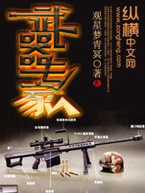 武器专家与刺客故事