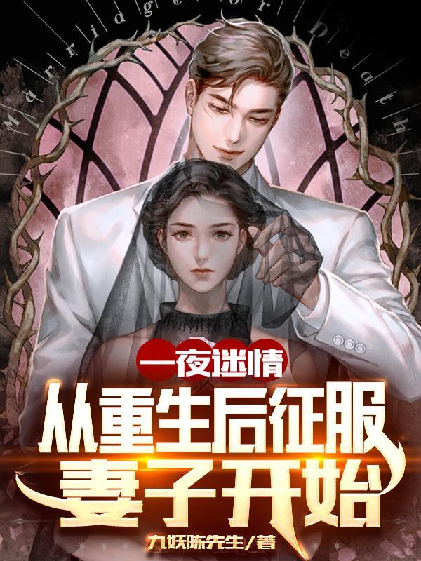 一夜迷情的结局