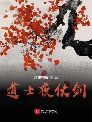 道士夜仗剑 无错字