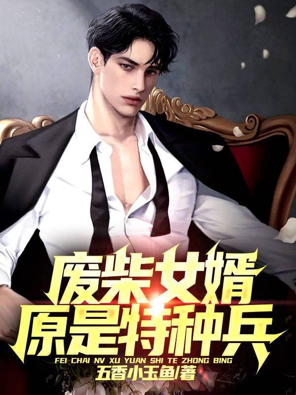 废物女婿是兵王