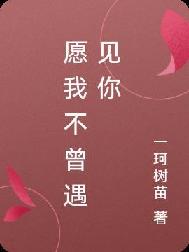 不曾遇见你是哪首歌