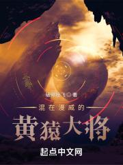主角是大将黄猿的