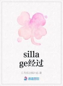 Sillage法语翻译