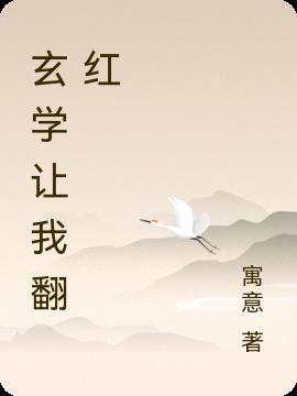 玄学让我翻红作者寓意