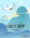 只此江湖梦大结局