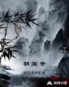 朝闻录在线观看