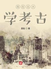 我在北大学考古无错版