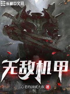 无敌机甲乱斗破解版免广告