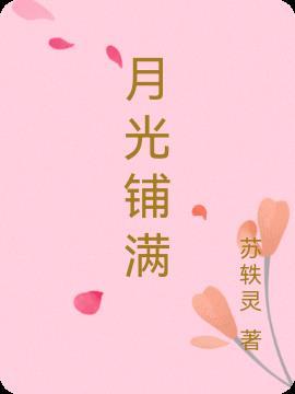 月光铺满了石子是什么歌