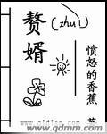 赘婿内谢电影