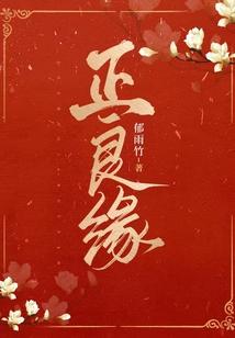 正良缘大结局是什么