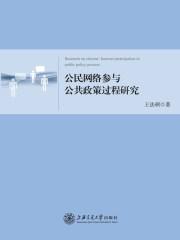 公民网络政治参与