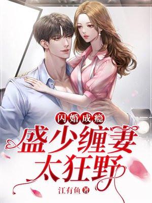 甜婚蜜爱盛少怀里娇
