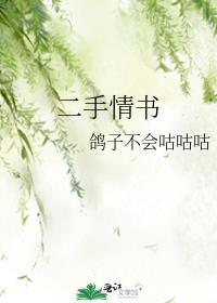 二手情书晋江文学城