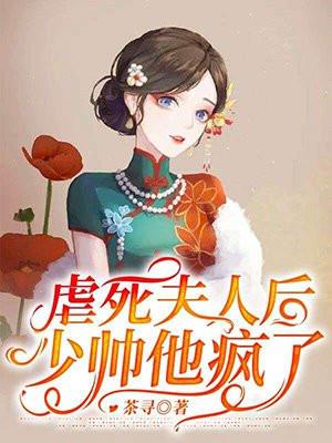 少帅虐文