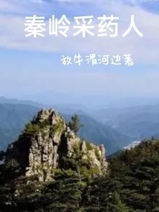 秦岭采药人TXT免费全本最新章节列表