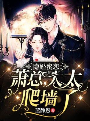 隐婚独宠萧逸宸林晚免费