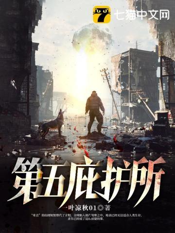 庇护所结构