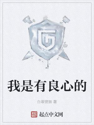 我是有良心的人英文