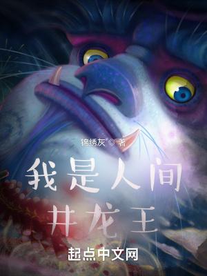 我是人间井龙王精校
