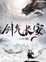 剑气长什么意思